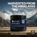 Sanura Well Shilajit Resin 500 mg – Pure Himalayan